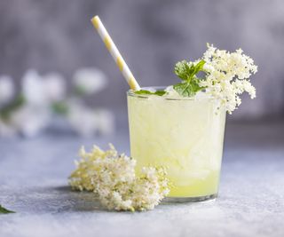 Elderflowers in a glass of lemonade