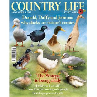 For countryside enthusiasts: Country Life, from £29.49