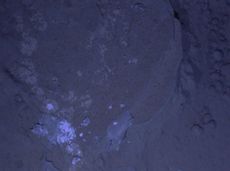 Curiosity Mars Mahli Ultraviolet