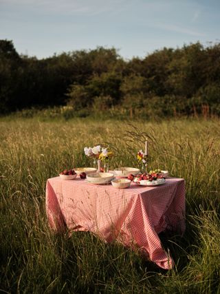 outdoor table styling field