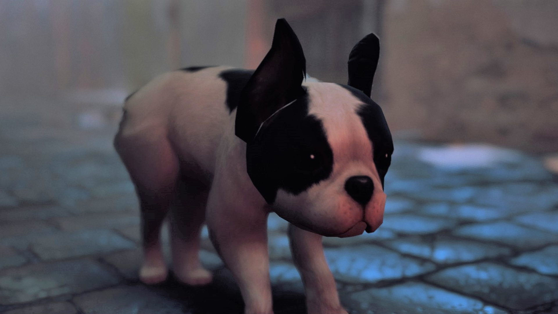 French bulldog puppy standing on a damp street, taking the place of the ginger cat from Stray with a mod