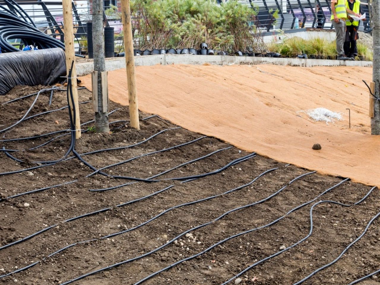 Subsurface irrigation tubes being laid