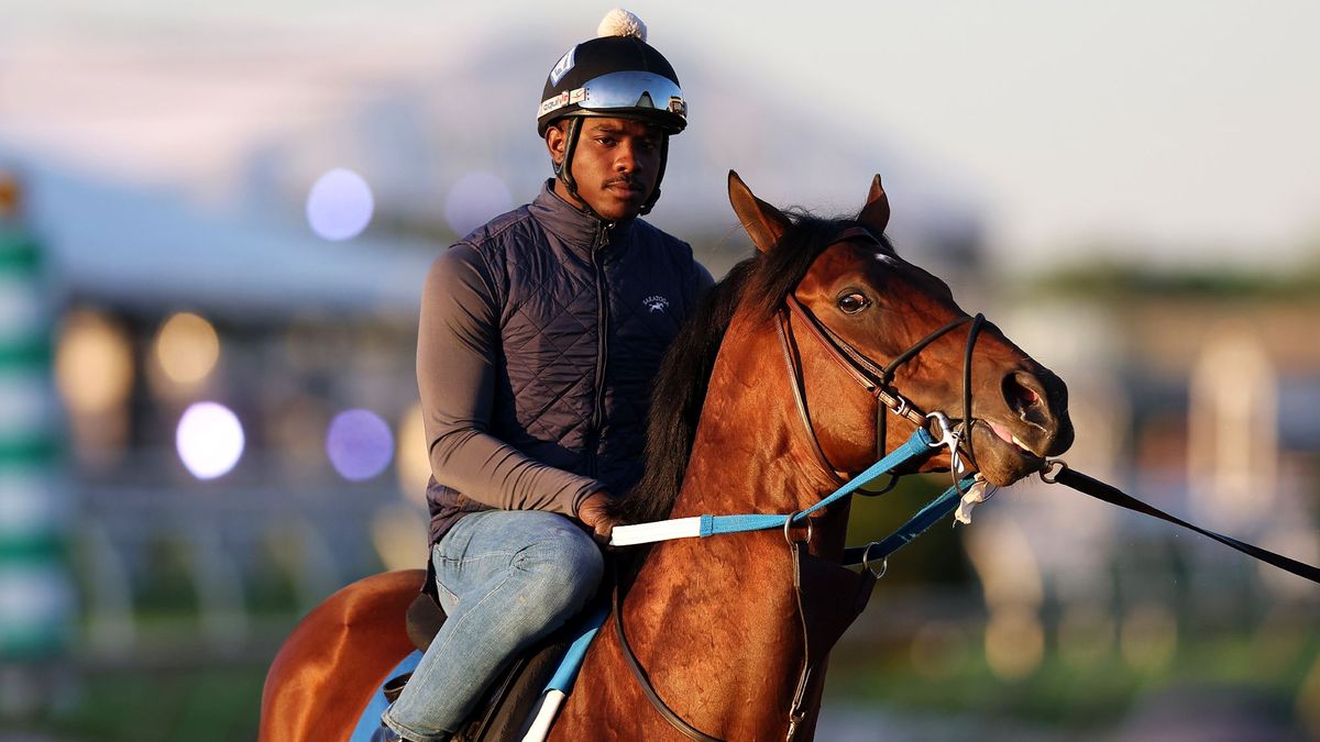 Preakness entrant Epicenter walks back to the barn following a training session for the 147th Running of the Preakness Stakes at Pimlico Race Course 