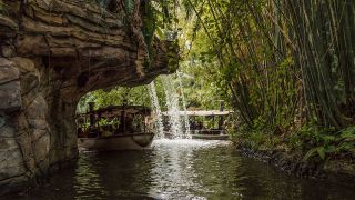 Jungle Cruise waterfall