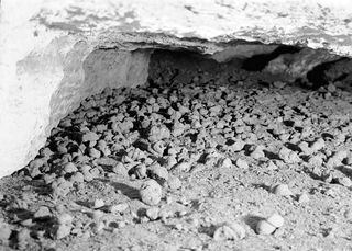 Rampart Cave in Arizona is full of giant ground sloth coprolites (fossilized poop). This cave is near Gypsum Cave in southern Nevada, where the researchers found other sloth coprolite samples to study.