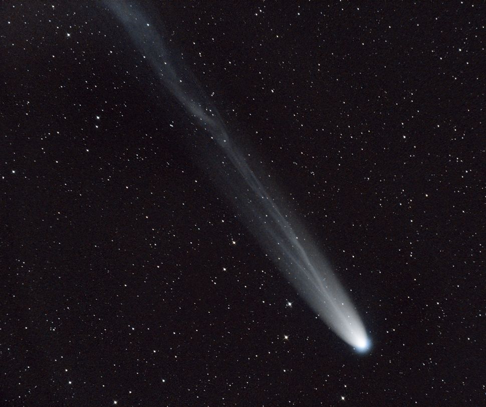 Comet Leonard puts on a final, spectacular display with ion tail in ...