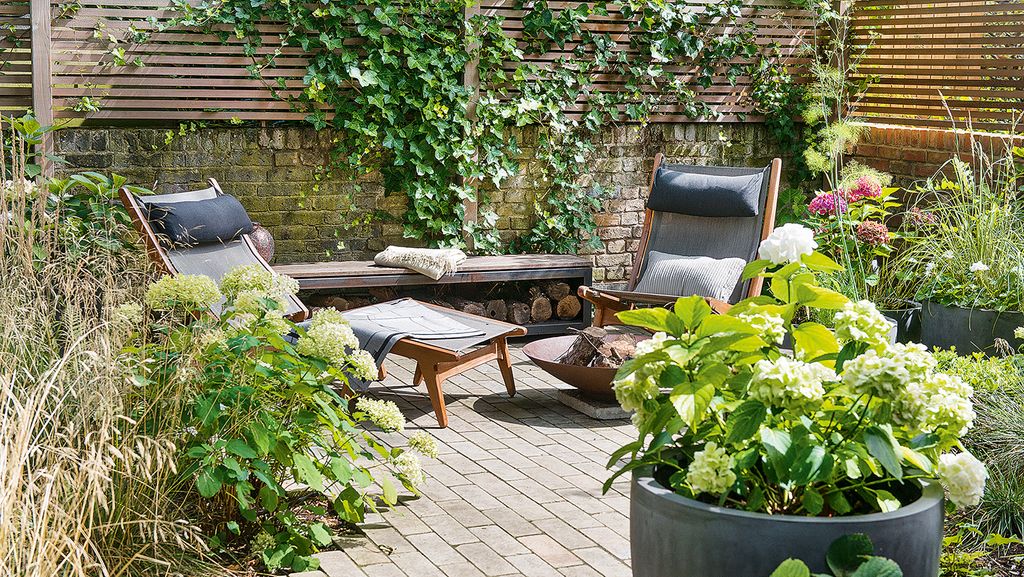 Where to buy plants online here's our pick of the best online garden