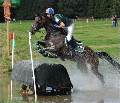 Dutch rider Huub van der Mark riding Exquis Idem Du Roc