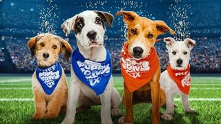 Puppy Bowl 2023 poster