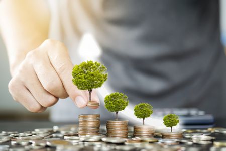 Trees growing on top of pennies