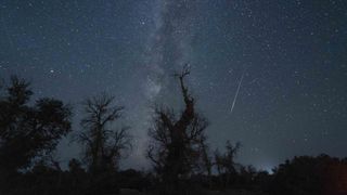 A Perseid meteor is seen above desert poplar plants in Korla, China, on Aug. 12, 2021.