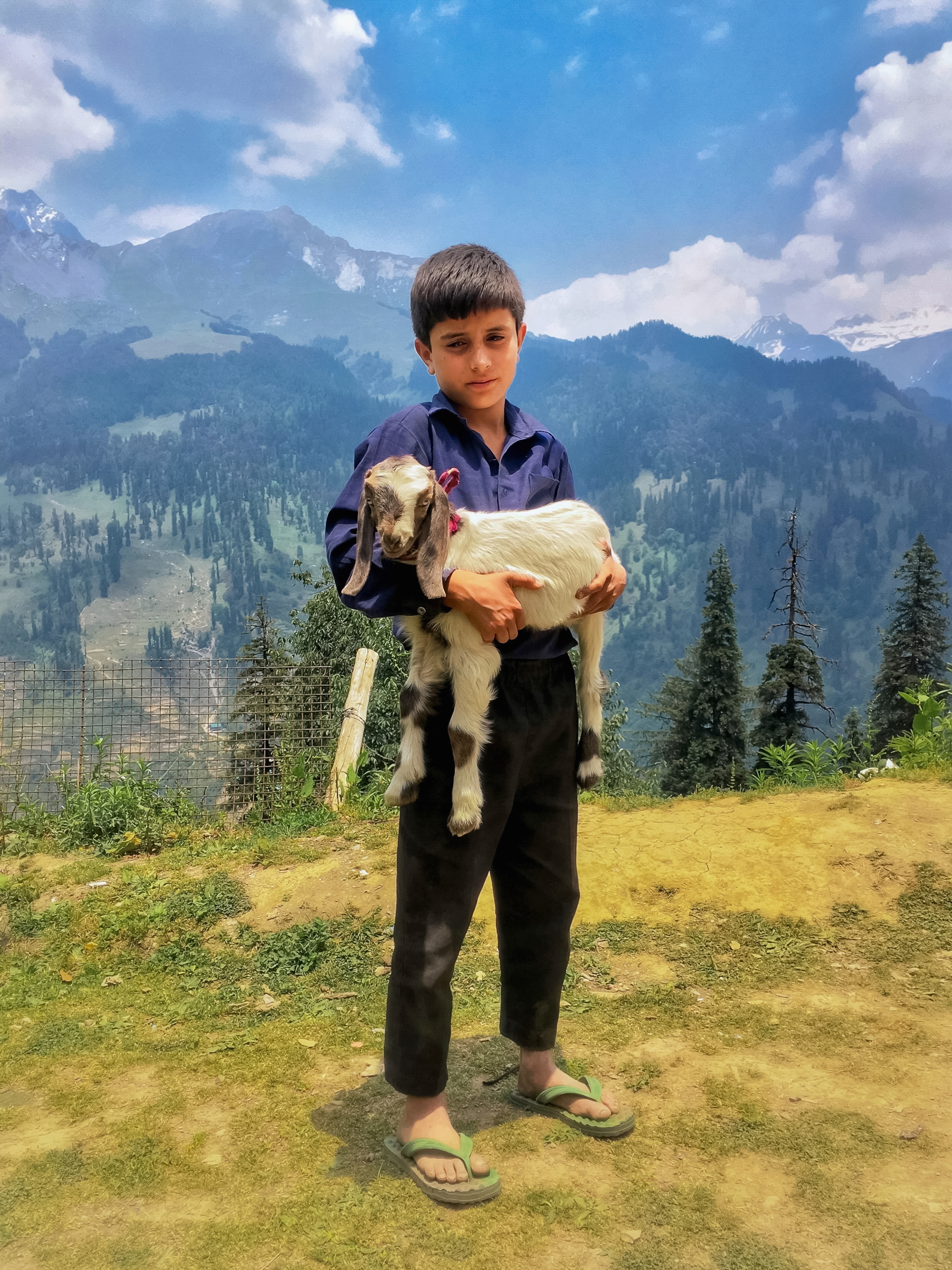 A child in the mountains holding a goat