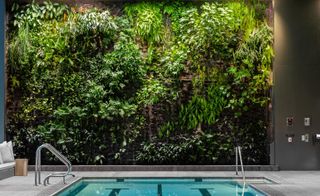 Green wall in swimming pool at Private Club