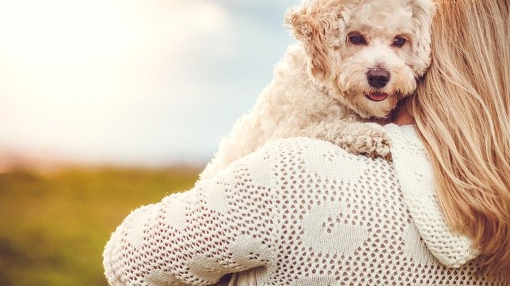 20 of the most affectionate dog breeds that love to be loved | PetsRadar