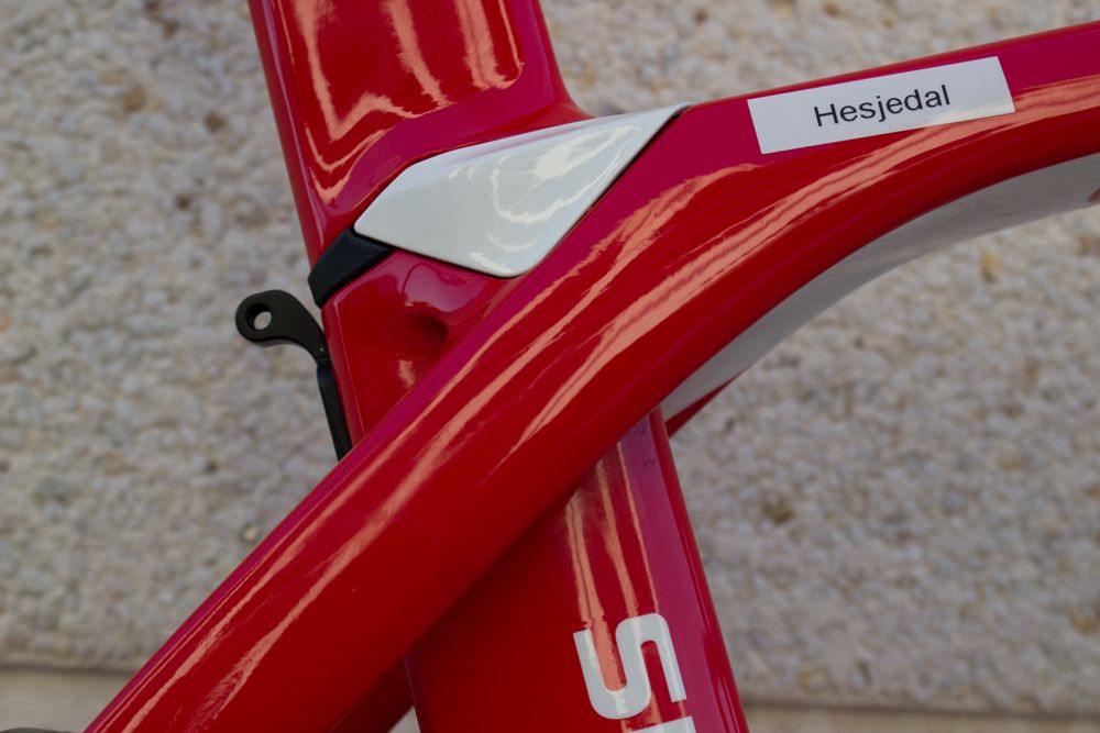 Trek's excellent IsoSpeed 'decoupler'