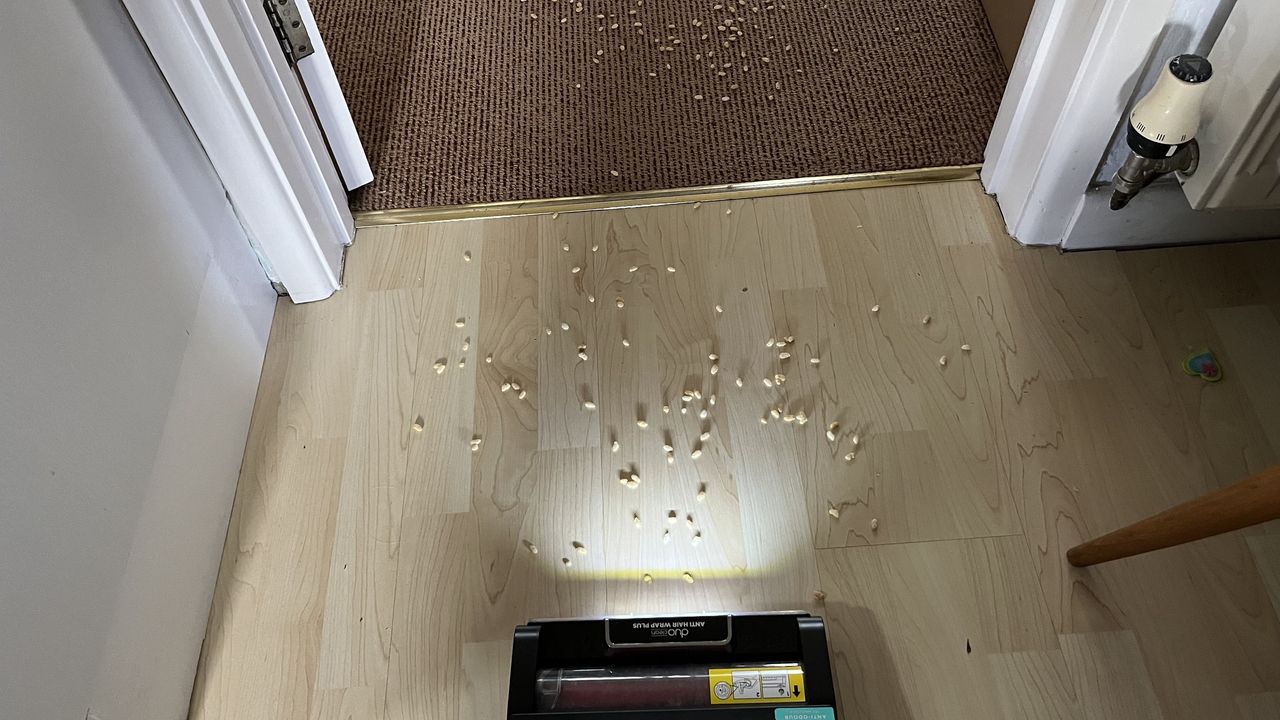 vacuuming puffed rice with the shrak stratos cordless before.jpg