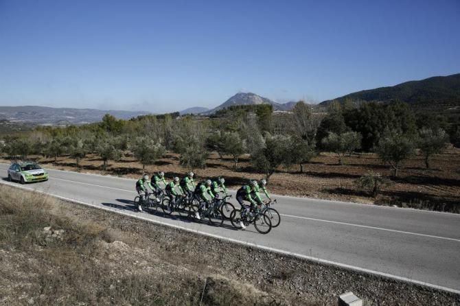 The Dutch WorldTour team had nearly 40 wins in 2013