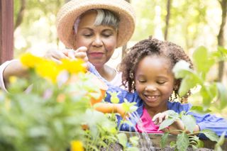 family garden ideas: grow your own