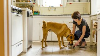 lady feeding her dog in kitchen