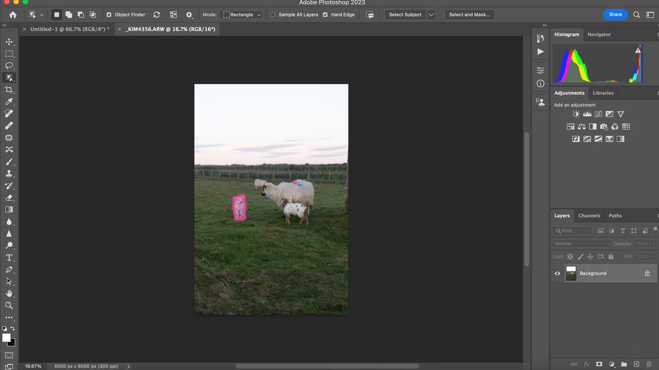 Image shows use of the one click object delete tool in Adobe Photoshop