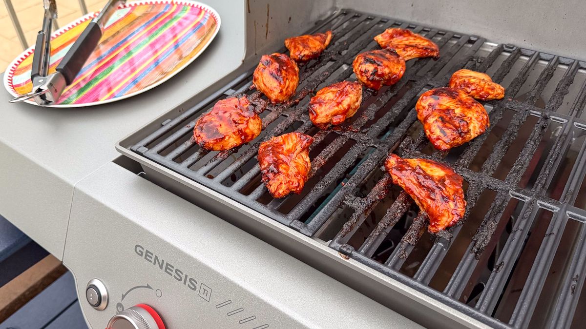 Weber Genesis E-325 Titanium Edition