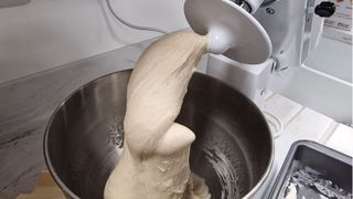Testing bread dough in the KitchenAid Classic