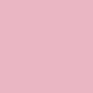A square of pink in the Benjamin Moore shade Pink Ruffle 2081 50