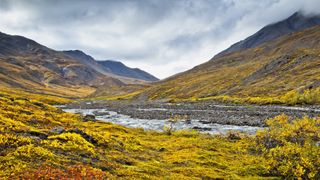 Kuyuktuvuk Creek Valley in fall colors, Gates of The Arctic National Park & Preserve, Arctic Alaska, Autumn