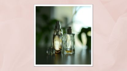 Two glass bottles of perfume pictured against a house-plant backdrop, with daylight streaming through/ in a pastel pink template