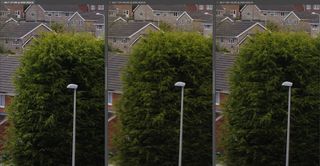 From left to right, this is a 200% blow-up of a regular JPEG, a Pixel Shift Resolution image and a shot taken with the new Dynamic Pixel Shift Resolution mode. In the middle image, you can see some movement artefacts in the left side of the conifer. Click the top-right-hand corner to see a larger version.