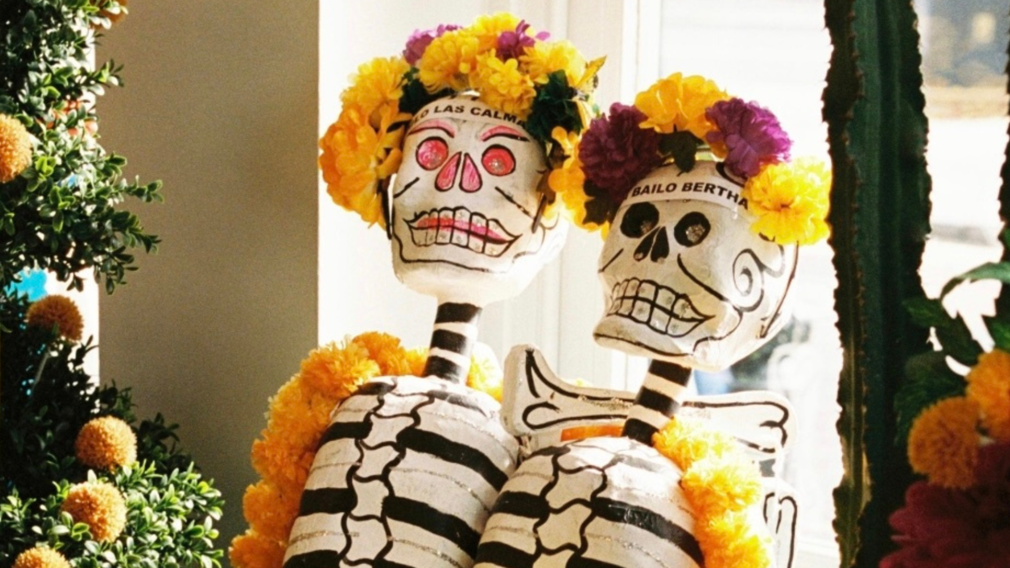 Day of the Dead at Mestizo