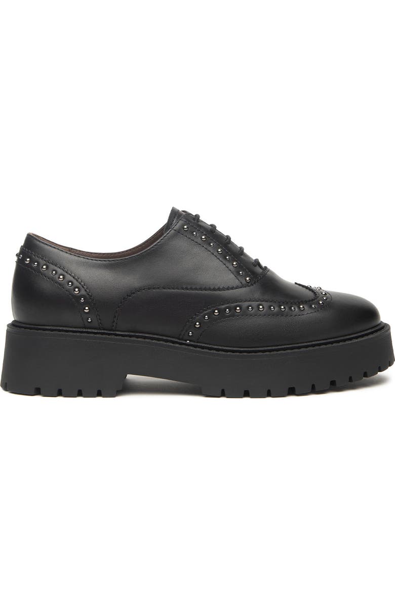 Studded Derby