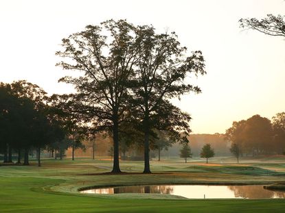 The Country Club of Jackson welcomes the Sanderson Farms Championship