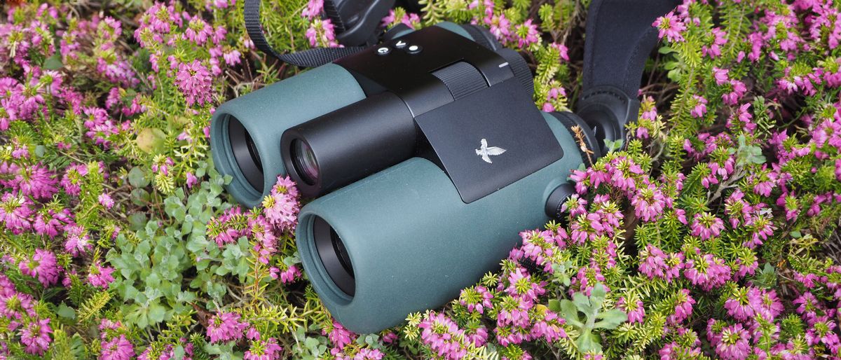 Swarovski Optik AX Visio 10x32 binoculars review
