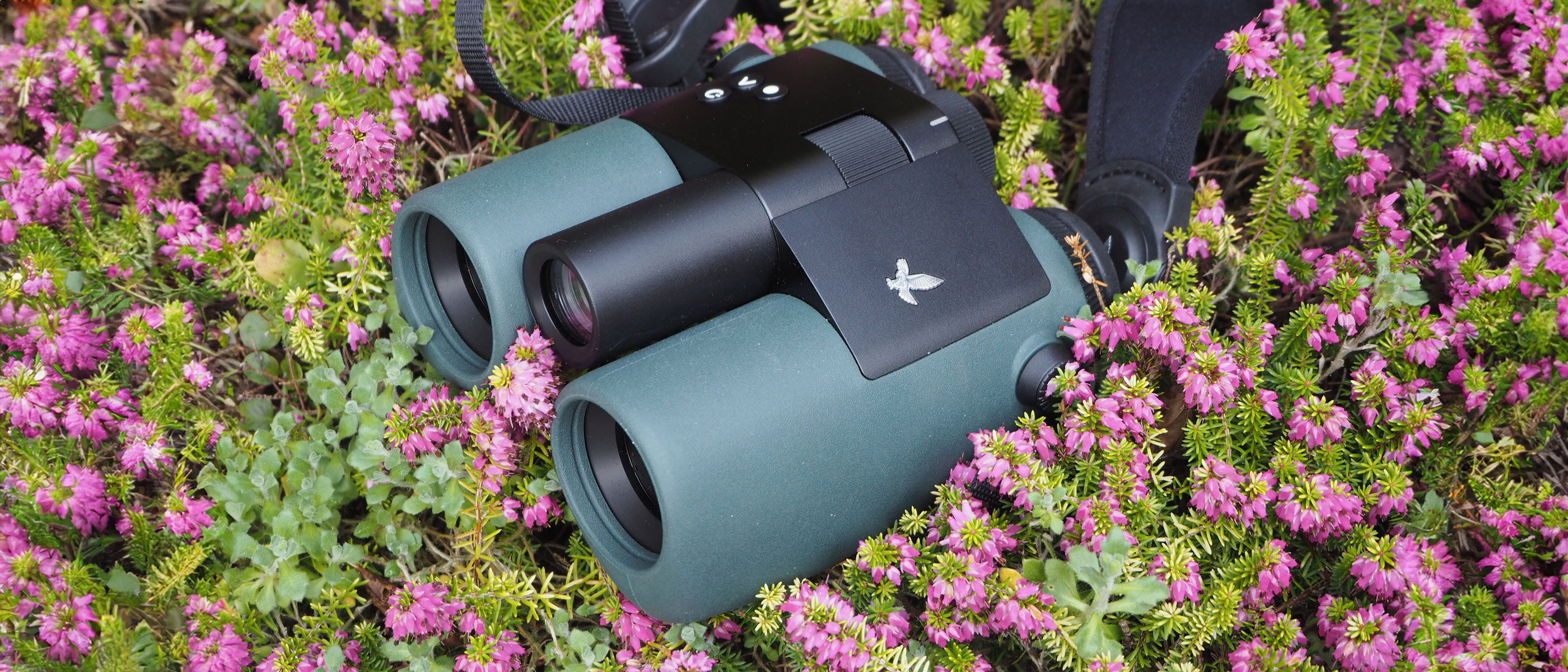 Swarovski AX Visio binoculars on a bush with pink flowers.