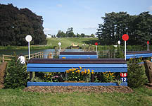 Blenheim09Fence14_15PetplanPuddle.JPG