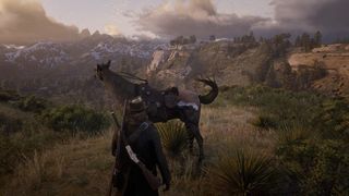 Red Dead Redemption 2 cliffs