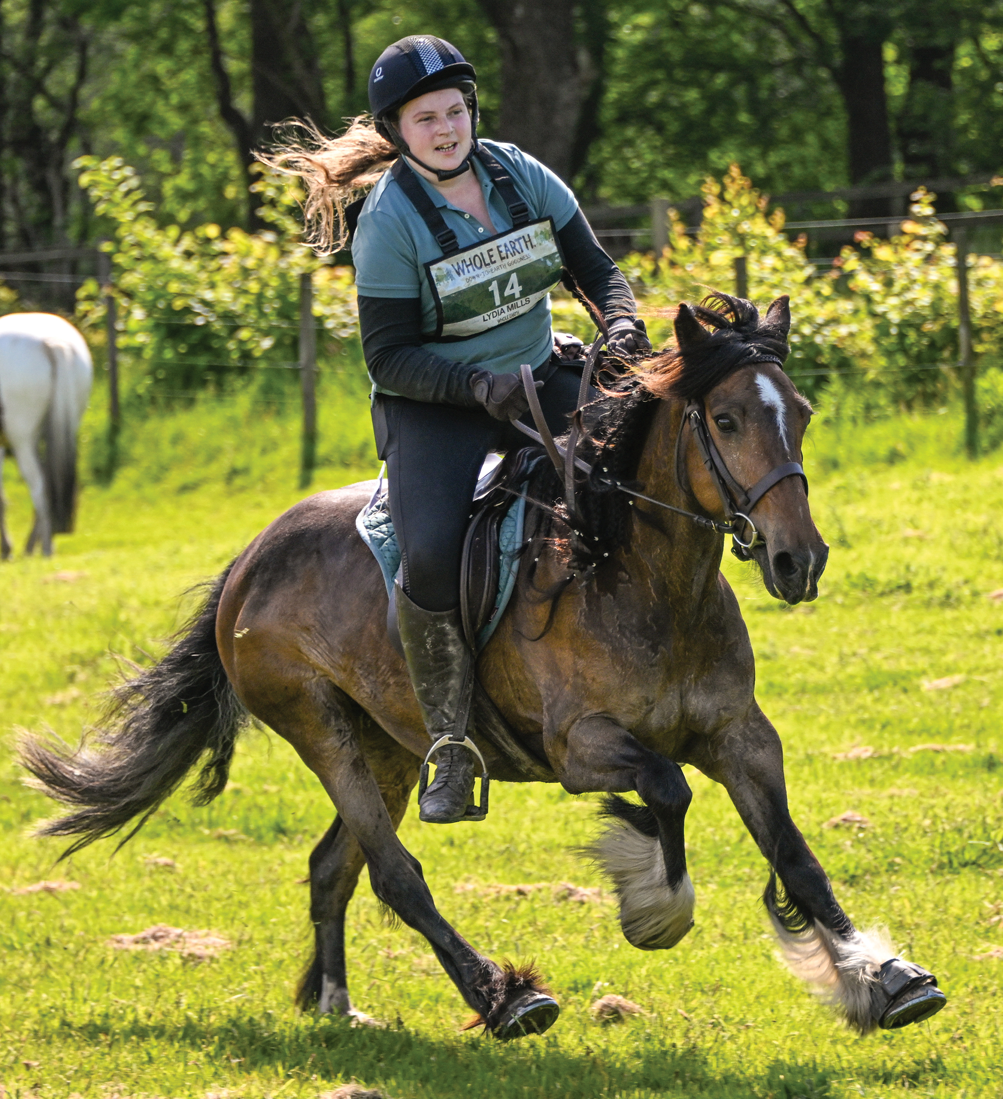 A lady wearing green and black rides a cob in canter in a grassy field