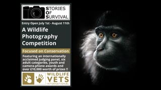 Wildlife photography competition