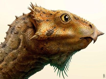 Scientists discover oldest horned North American dinosaur species in Montana