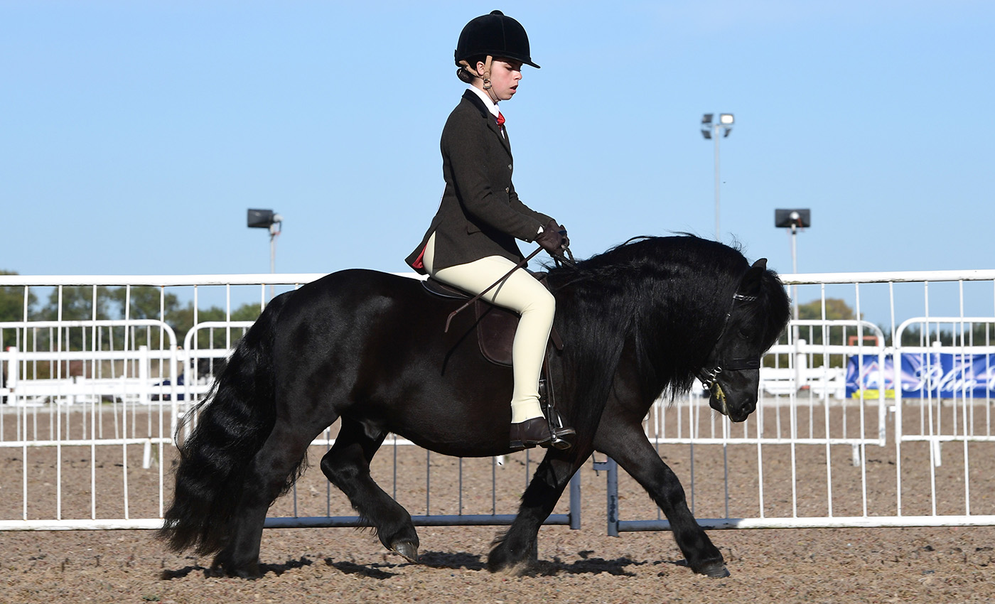 Heritage Show 16.10.2266624