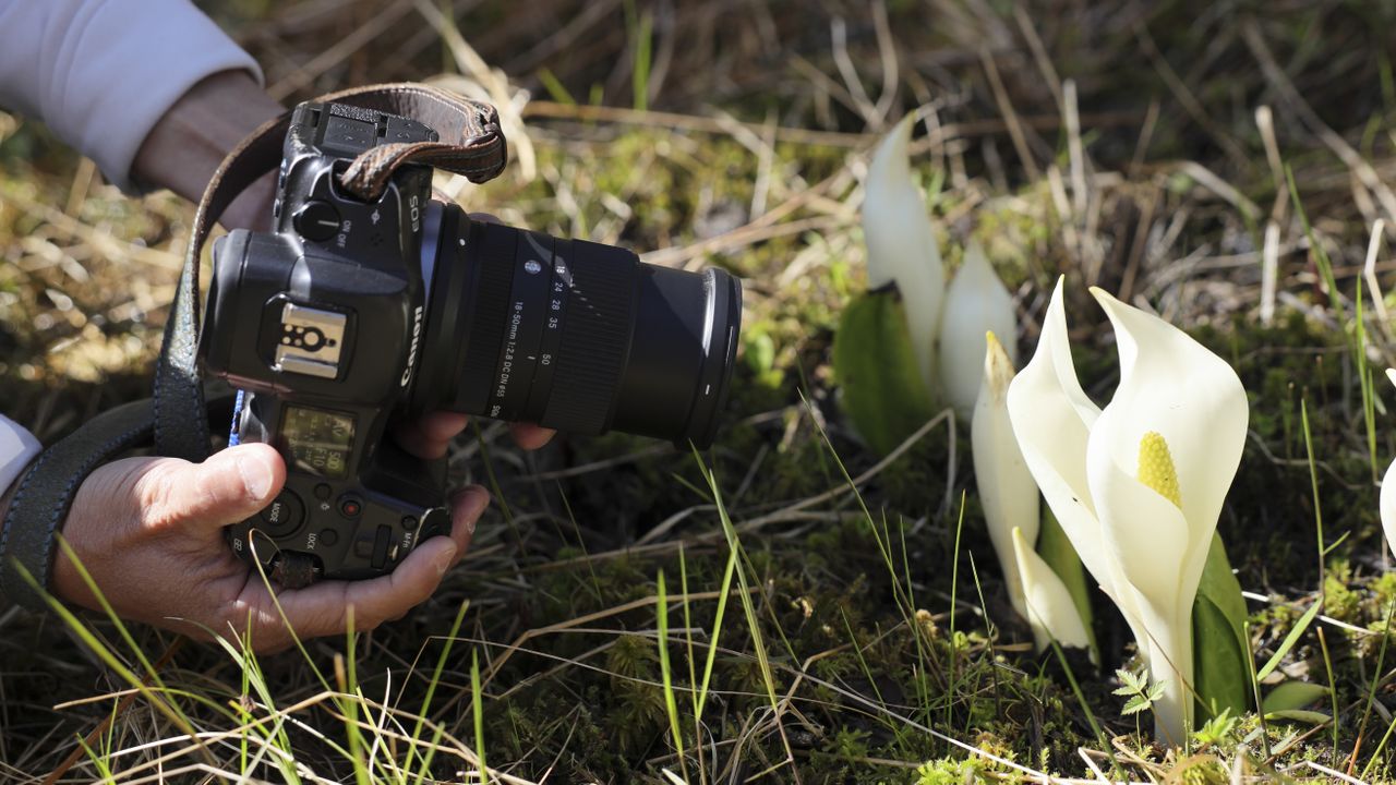 Sigma 18-50mm f/2.8 DC DN Contemporary lens in the hand, attached to a Canon EOS R5 camera taking macro photos
