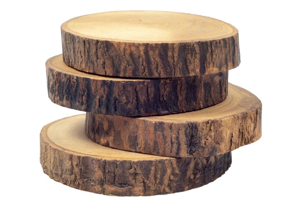 DIY Wood Coasters Made from a Log: How to Make Drink Coasters 