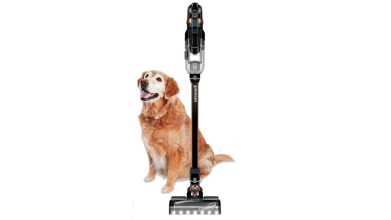 Best vacuum for pet hair to rid your home of fur and dust Homes & Gardens