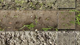 Dirt and Soil Textures