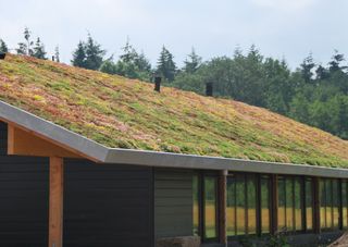 green roof on a rustic modern barn conversion