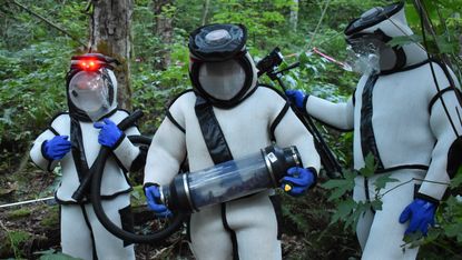 Officials removing a "murder hornet" nest in Washington in 2021.