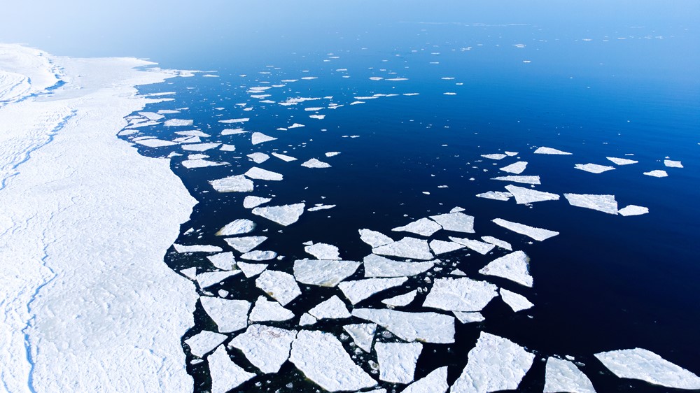 The new studies highlight that sea ice melting caused by climate change have made the newly discovered bottom blooms more likely.