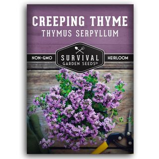 Creeping Thyme Seed 