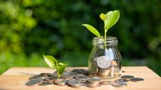A scattering of coins across a wooden board and filling a glass jar, along with two growing sprouts.
